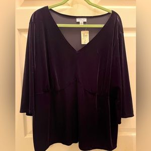 Coldwater Creek 3X Velvet blouse empire waist seam v neck